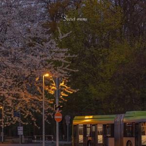 男性吹潮教程chainese视频
